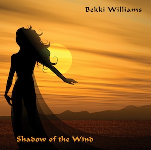 Shadow of the wind 300